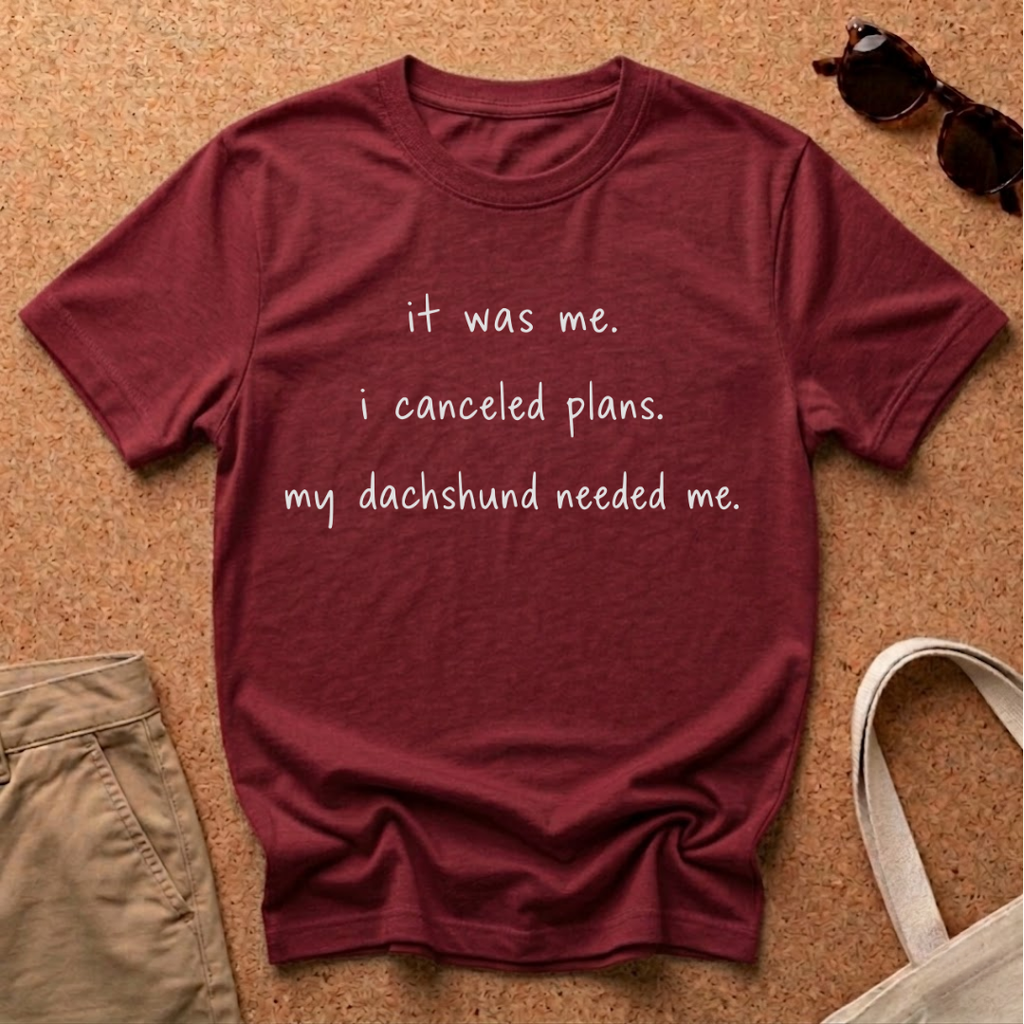 It was me! T-Shirt