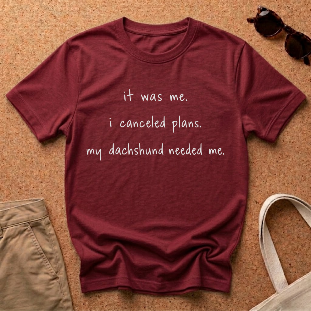 It was me! T-Shirt