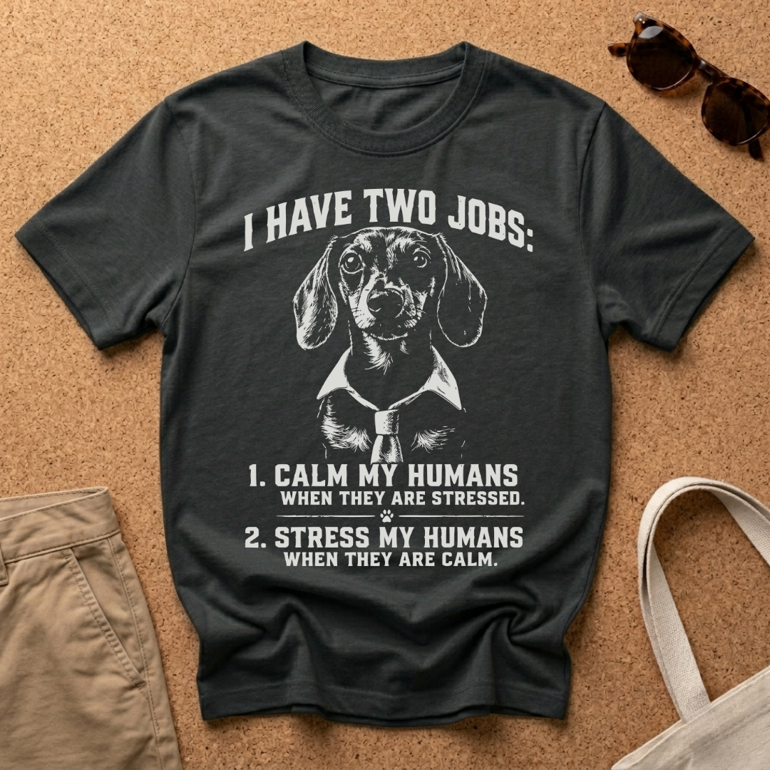 I have two jobs T-Shirt