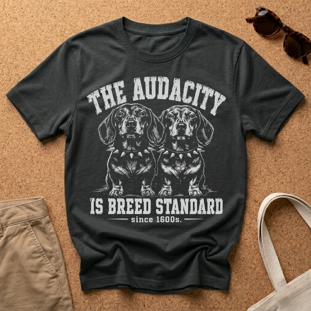 The Audacity T-Shirt