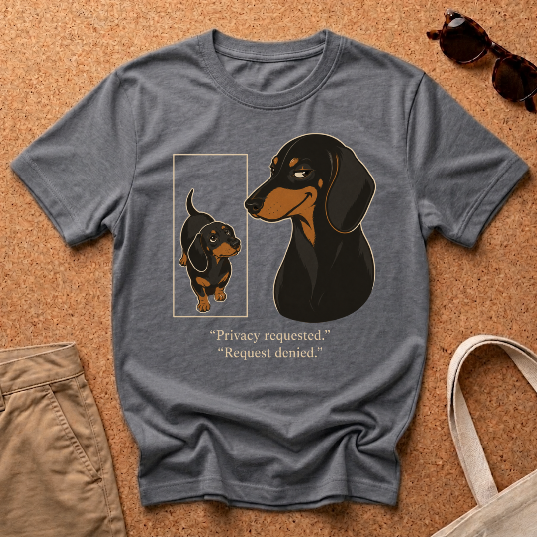 Request Denied T-Shirt