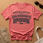 Dachshunds Opinion T-Shirt