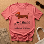 Dachshund Description Beanie T-Shirt