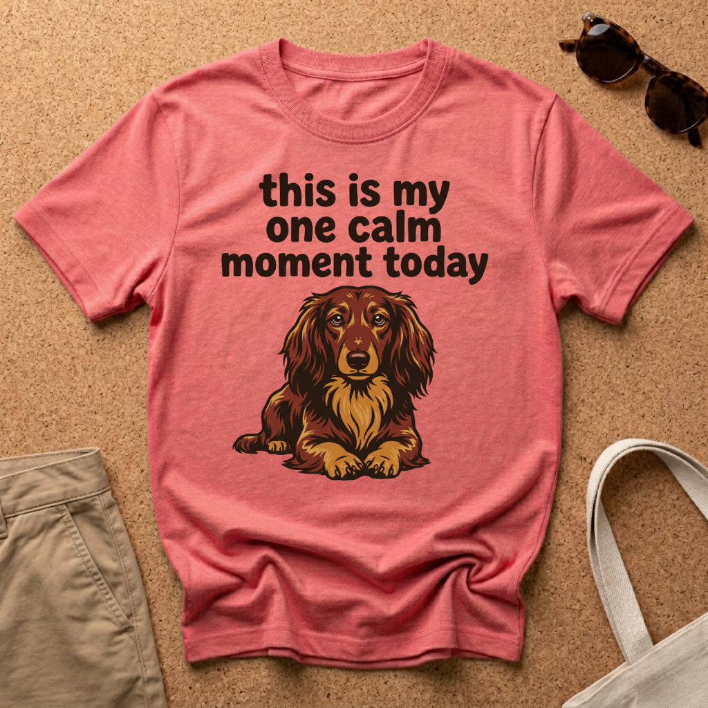 One Calm Moment T-Shirt