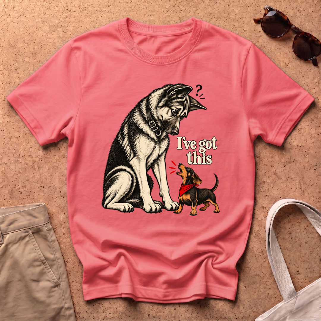 I've Got This T-Shirt