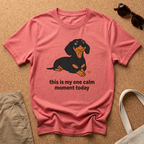 Calm Moment T-Shirt