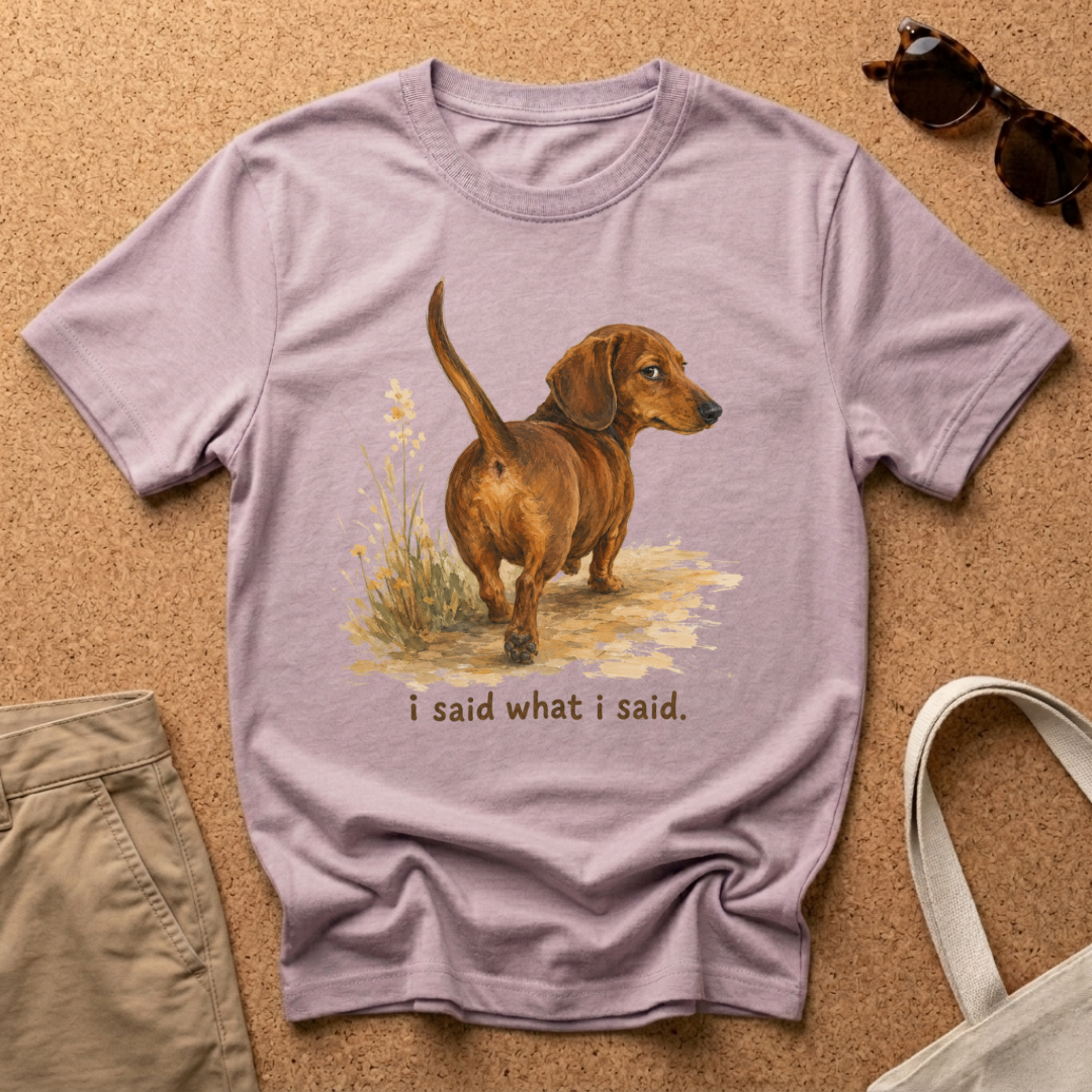 I Said What I Said T-Shirt