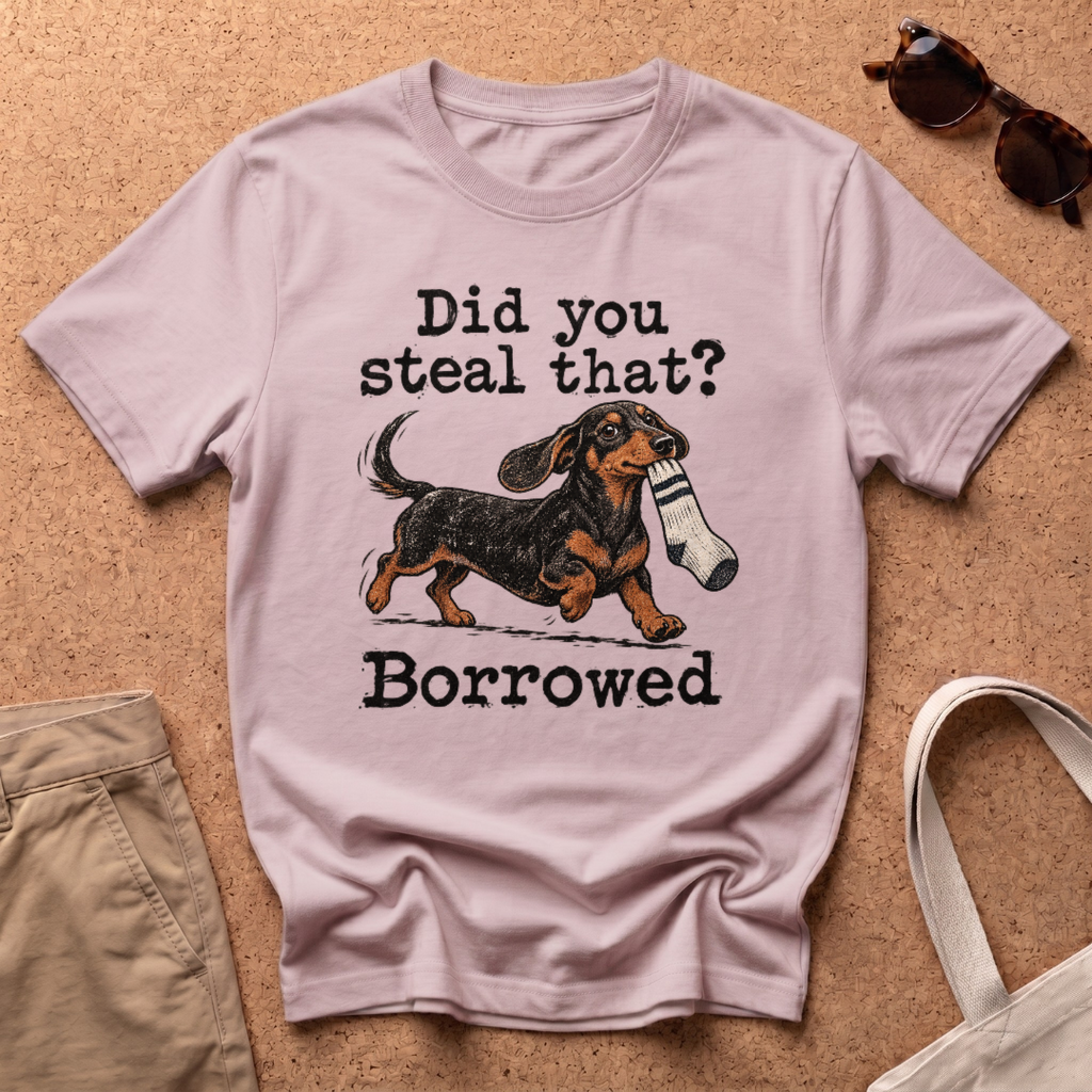 Steal Or Borrowed T-Shirt - Light Pink
