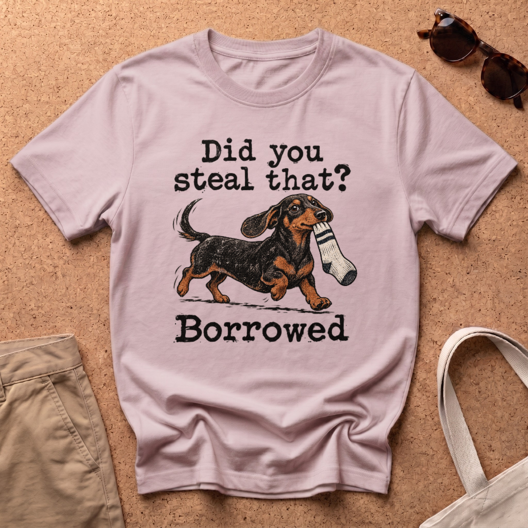 Steal Or Borrowed T-Shirt - Light Pink