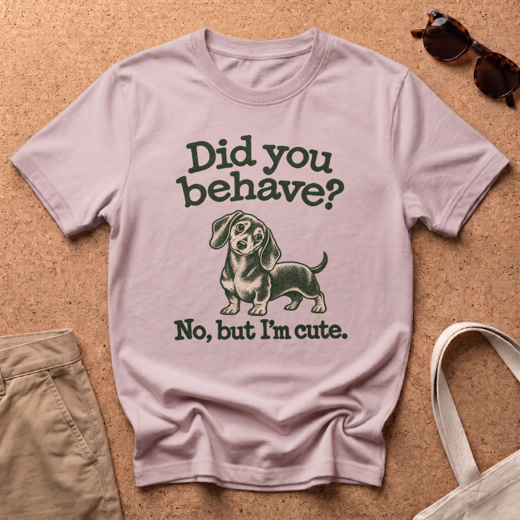 Did You Behave T-Shirt - Light Pink