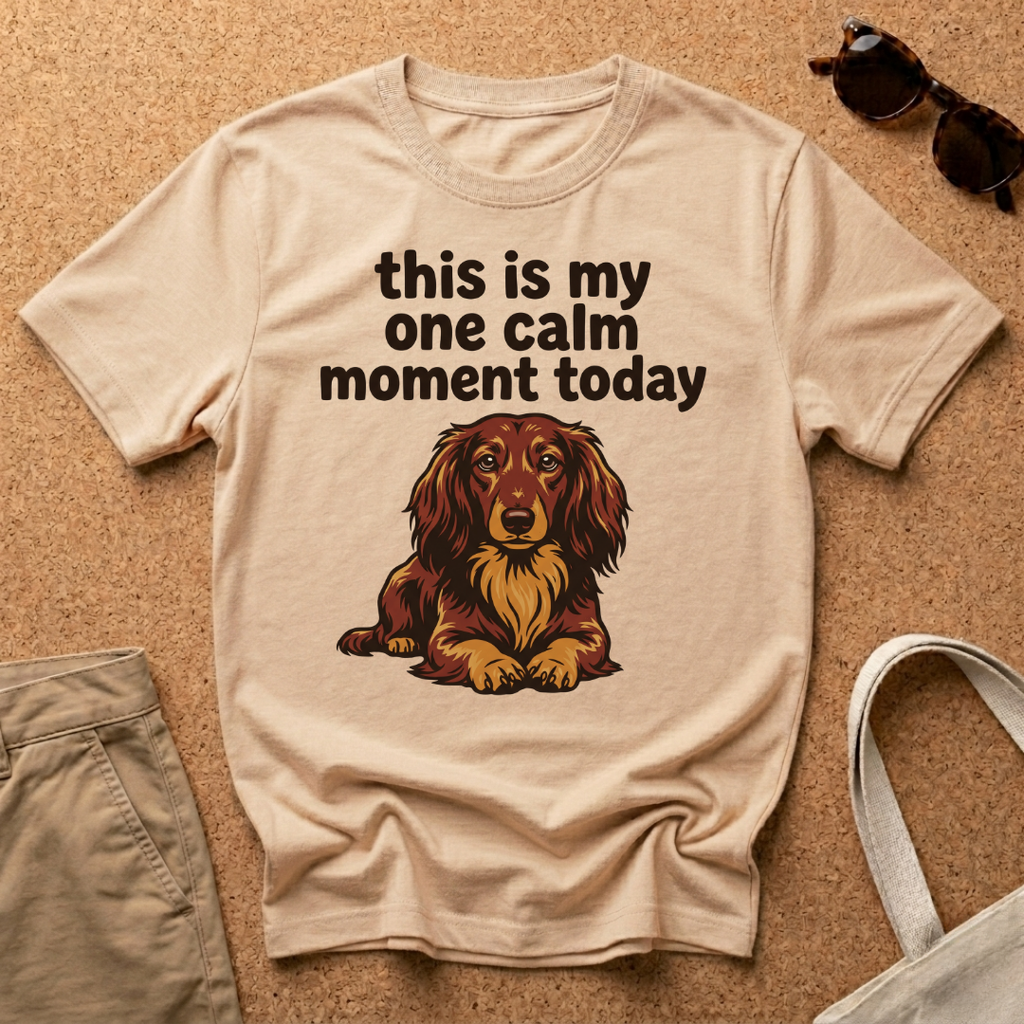 One Calm Moment T-Shirt