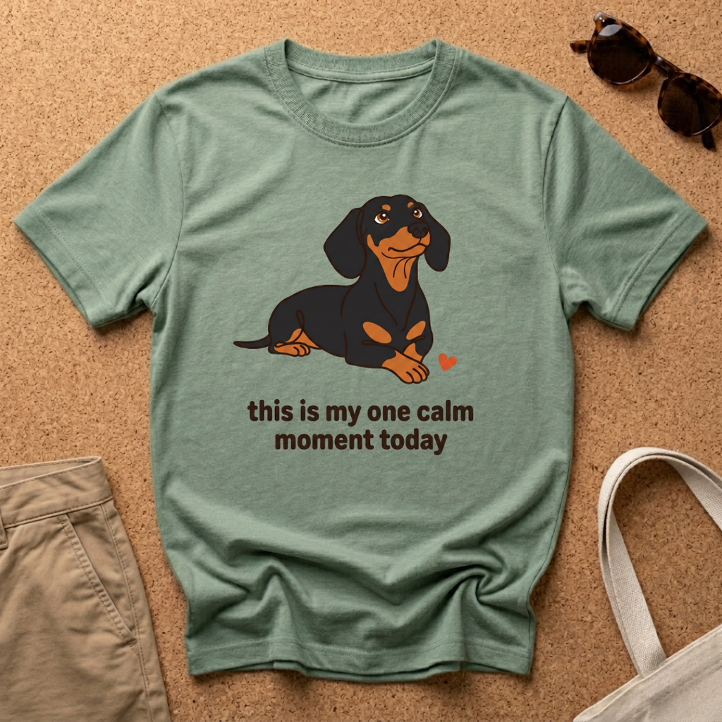 Calm Moment T-Shirt
