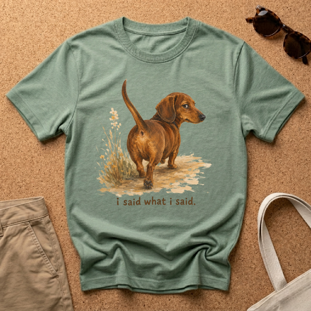 I Said What I Said T-Shirt