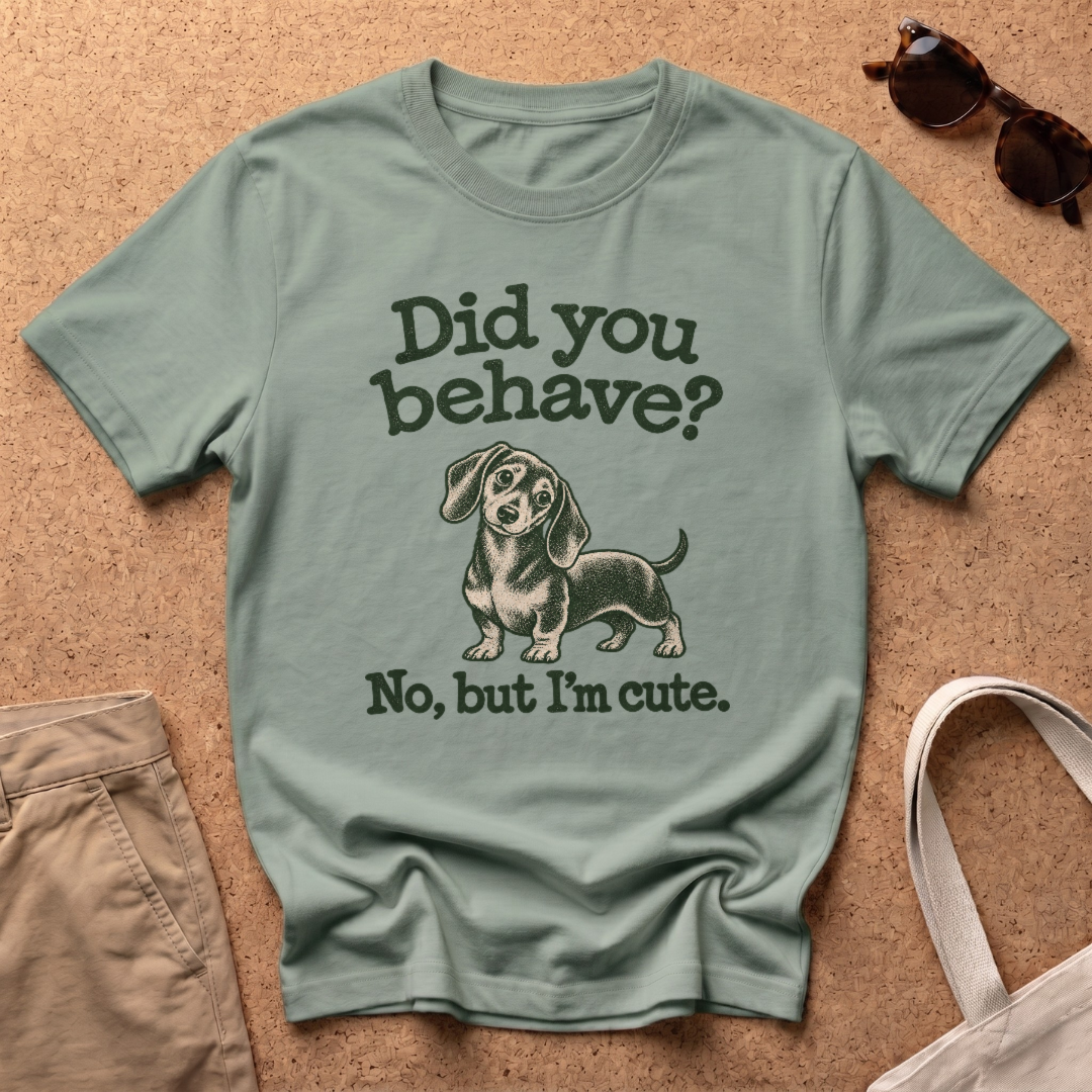 Did You Behave T-Shirt - Sage