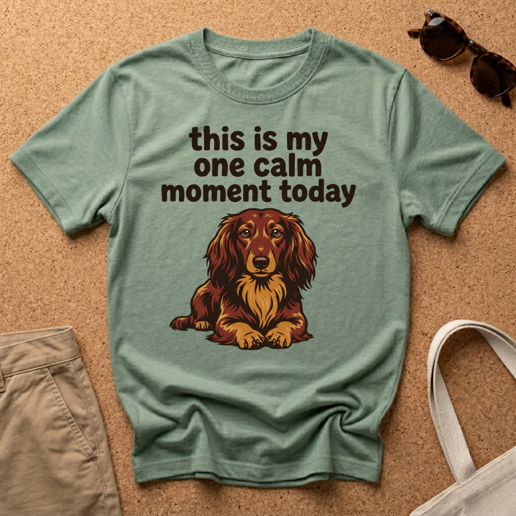 One Calm Moment T-Shirt
