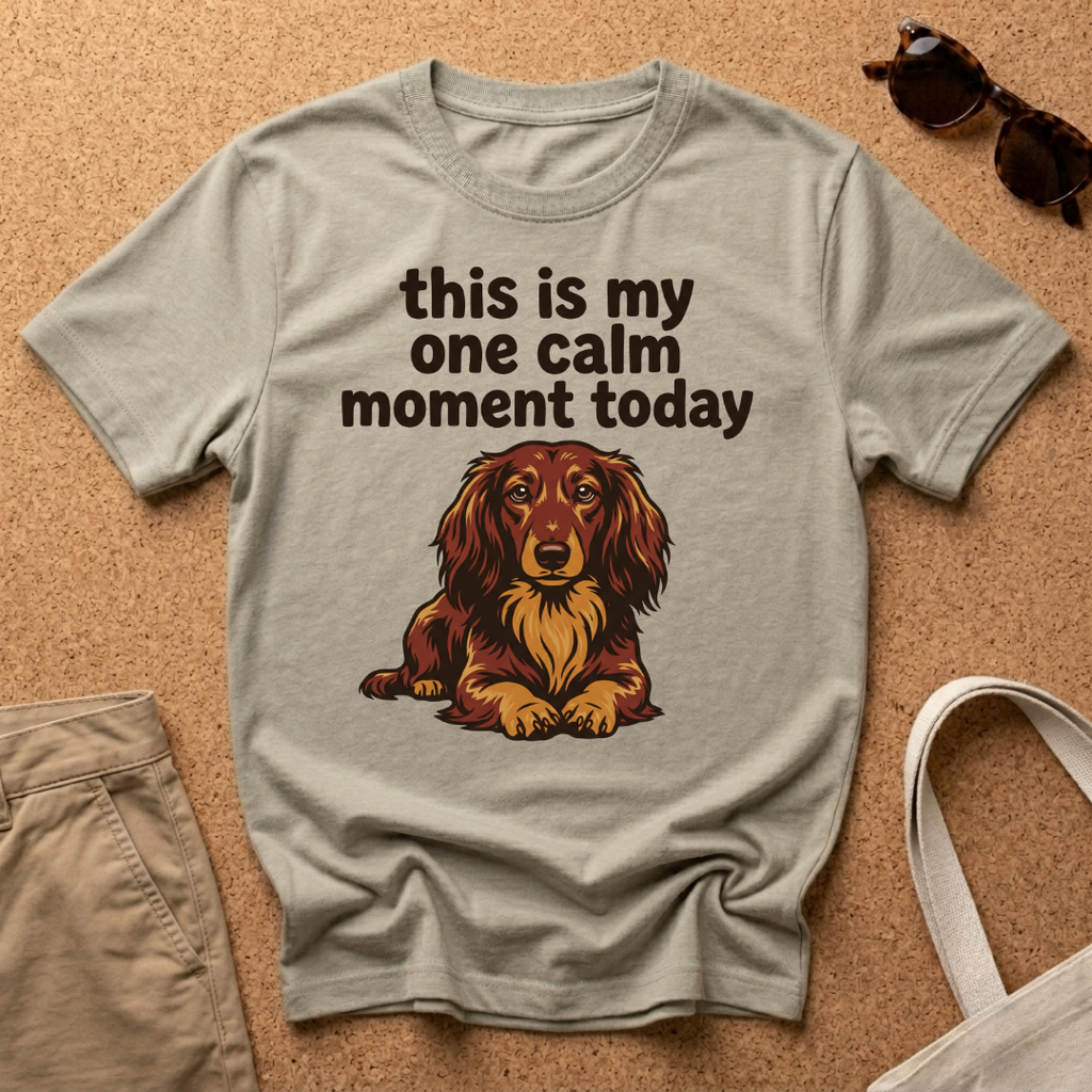 One Calm Moment T-Shirt