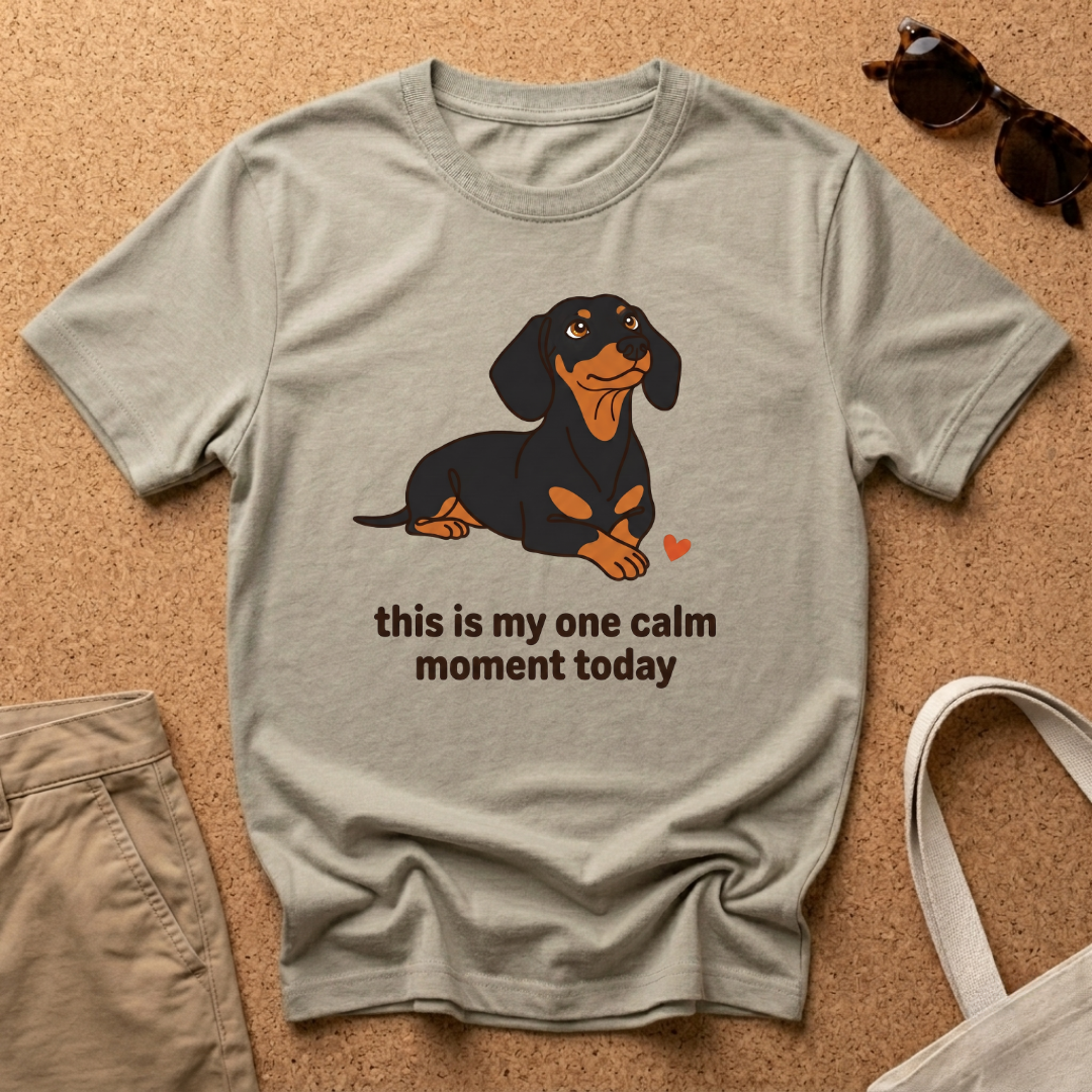 Calm Moment T-Shirt