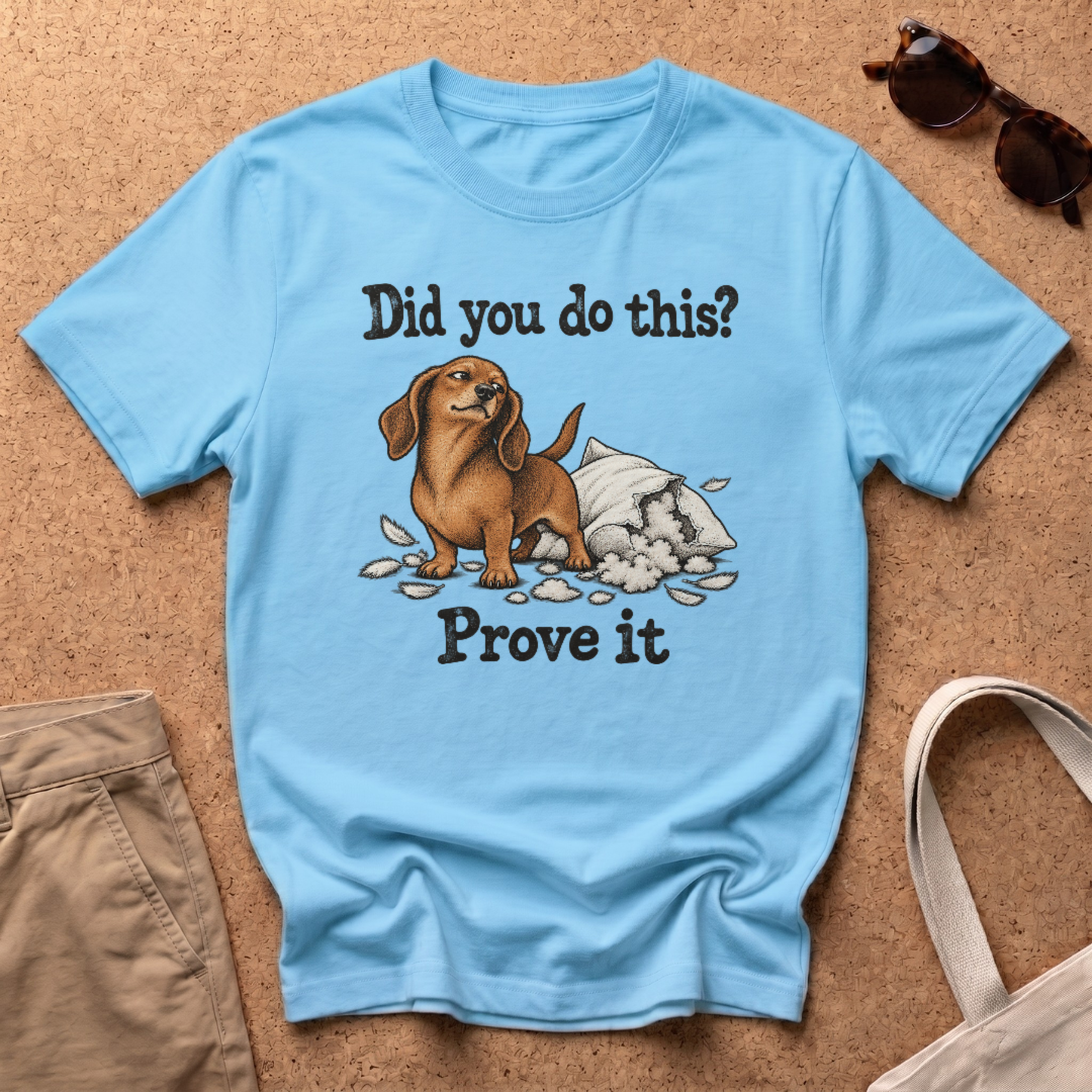 Prove It T-Shirt - Sky