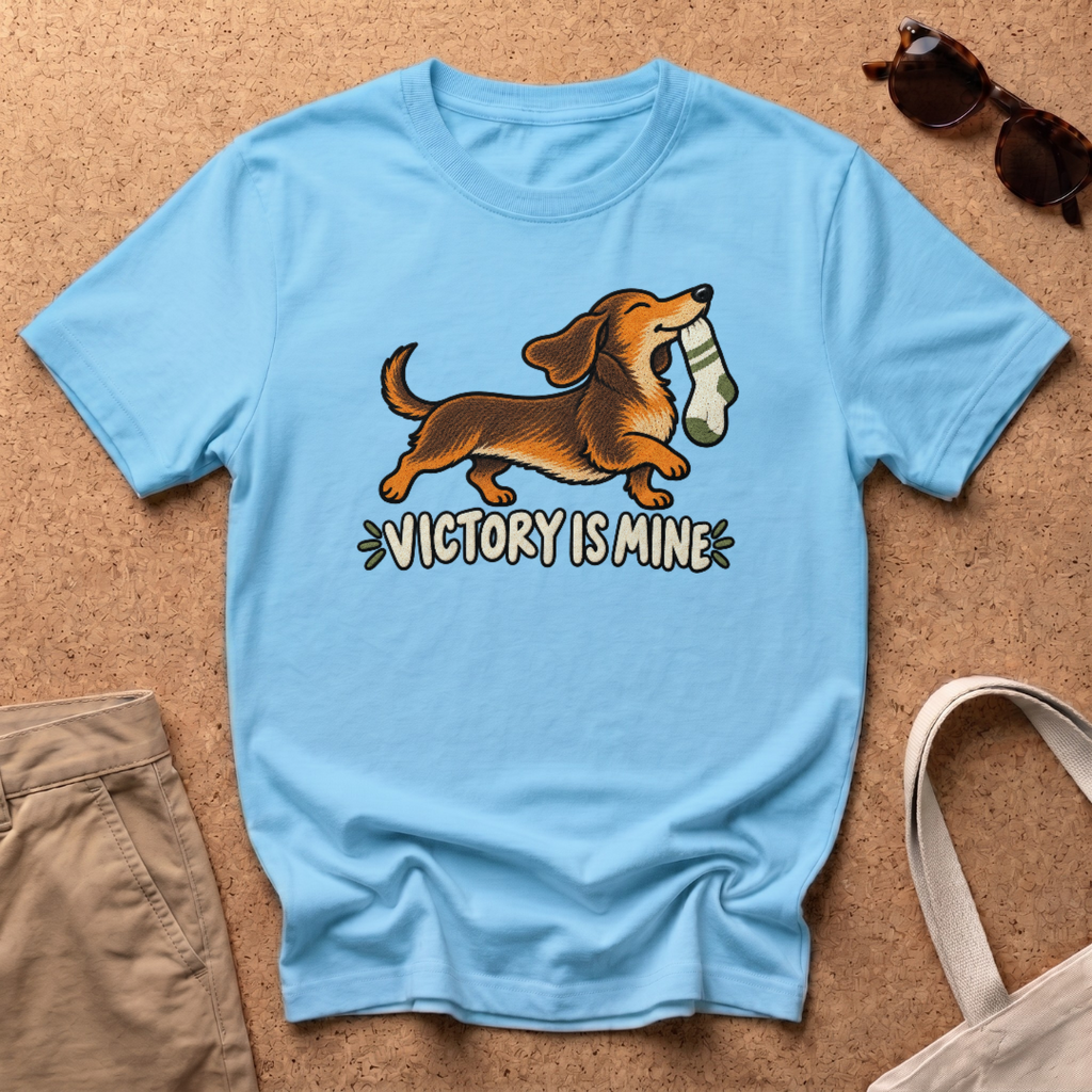 Victory Is Mine T-Shirt - Sky