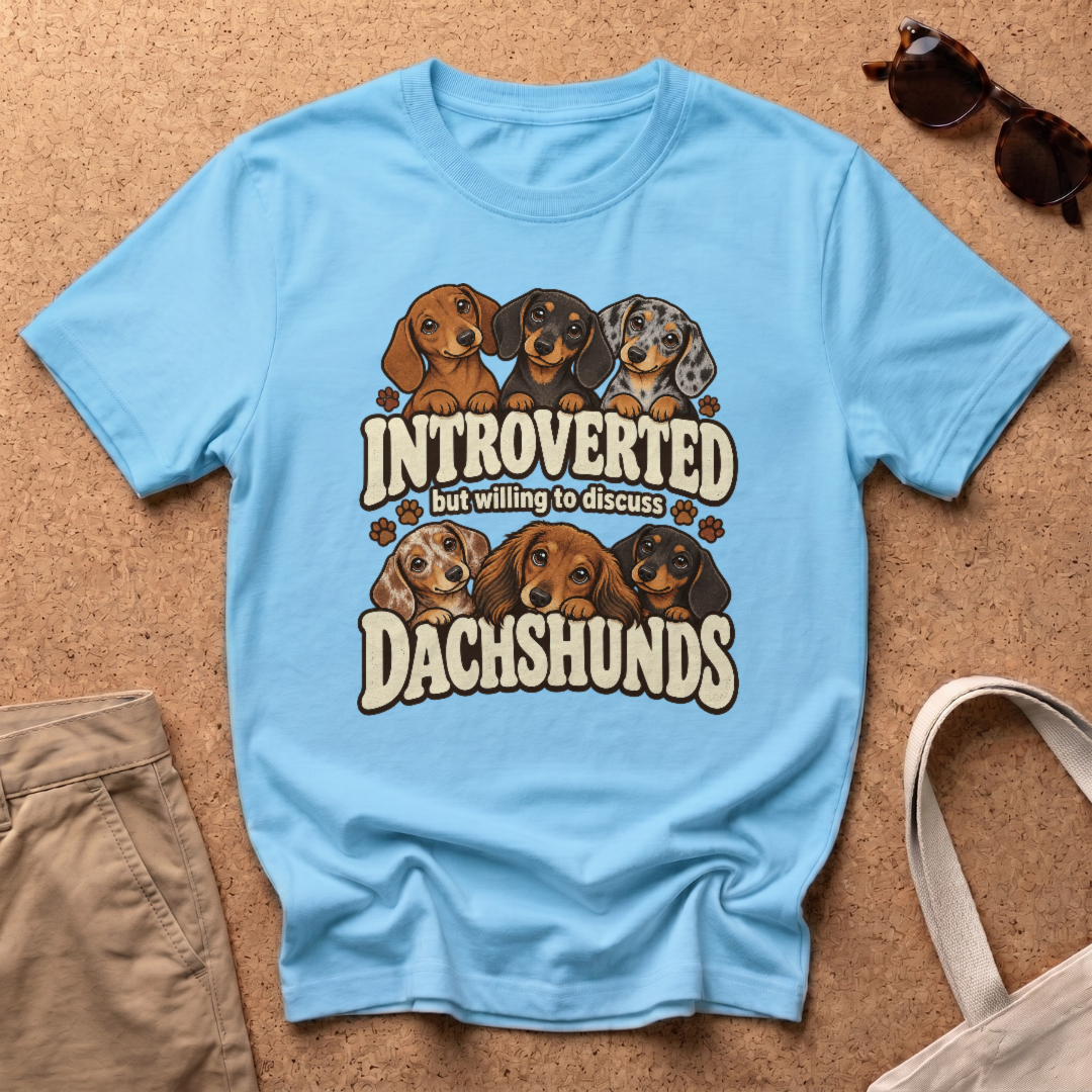 Introverted T-Shirt - Sky