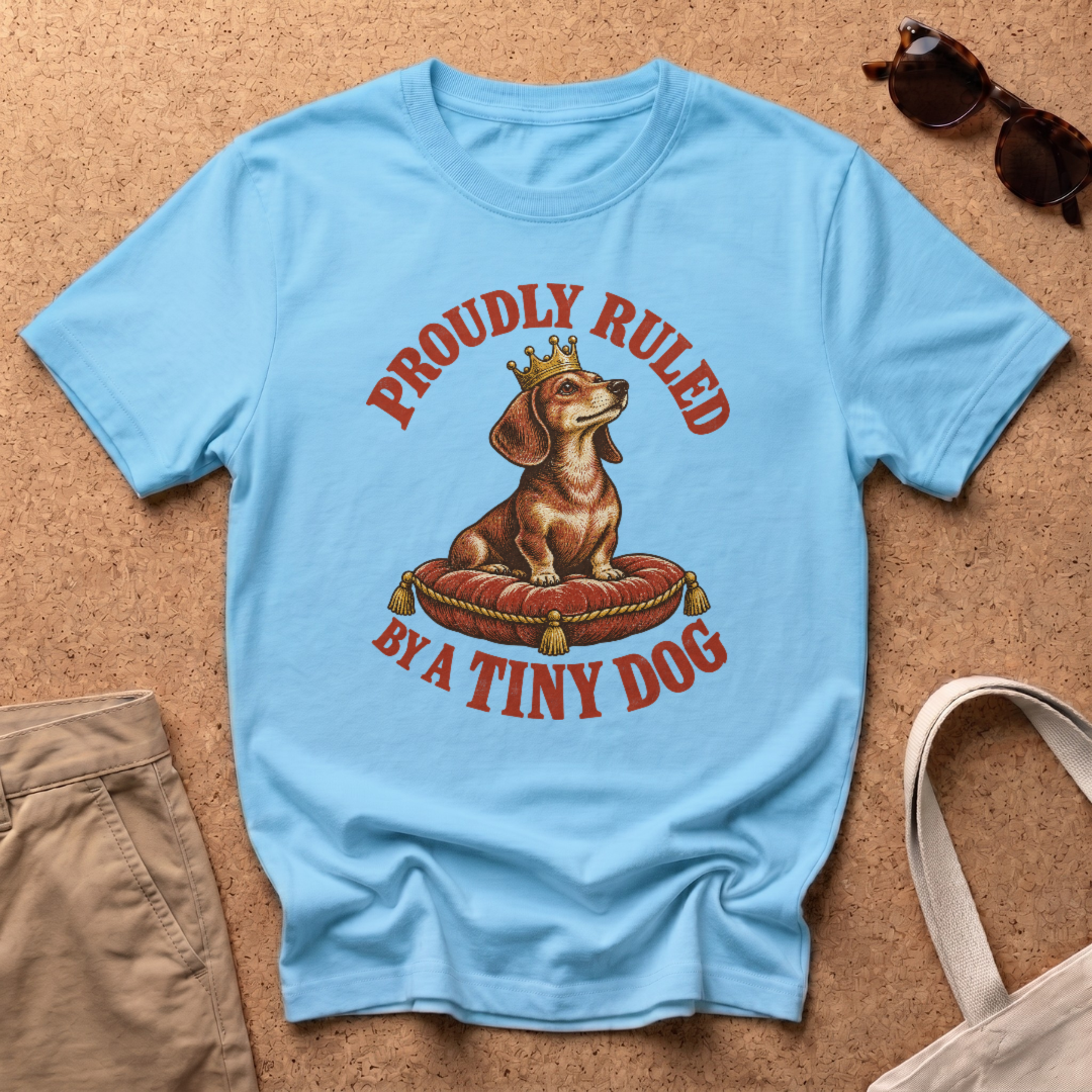 Ruled Tiny Dog T-Shirt - Sky