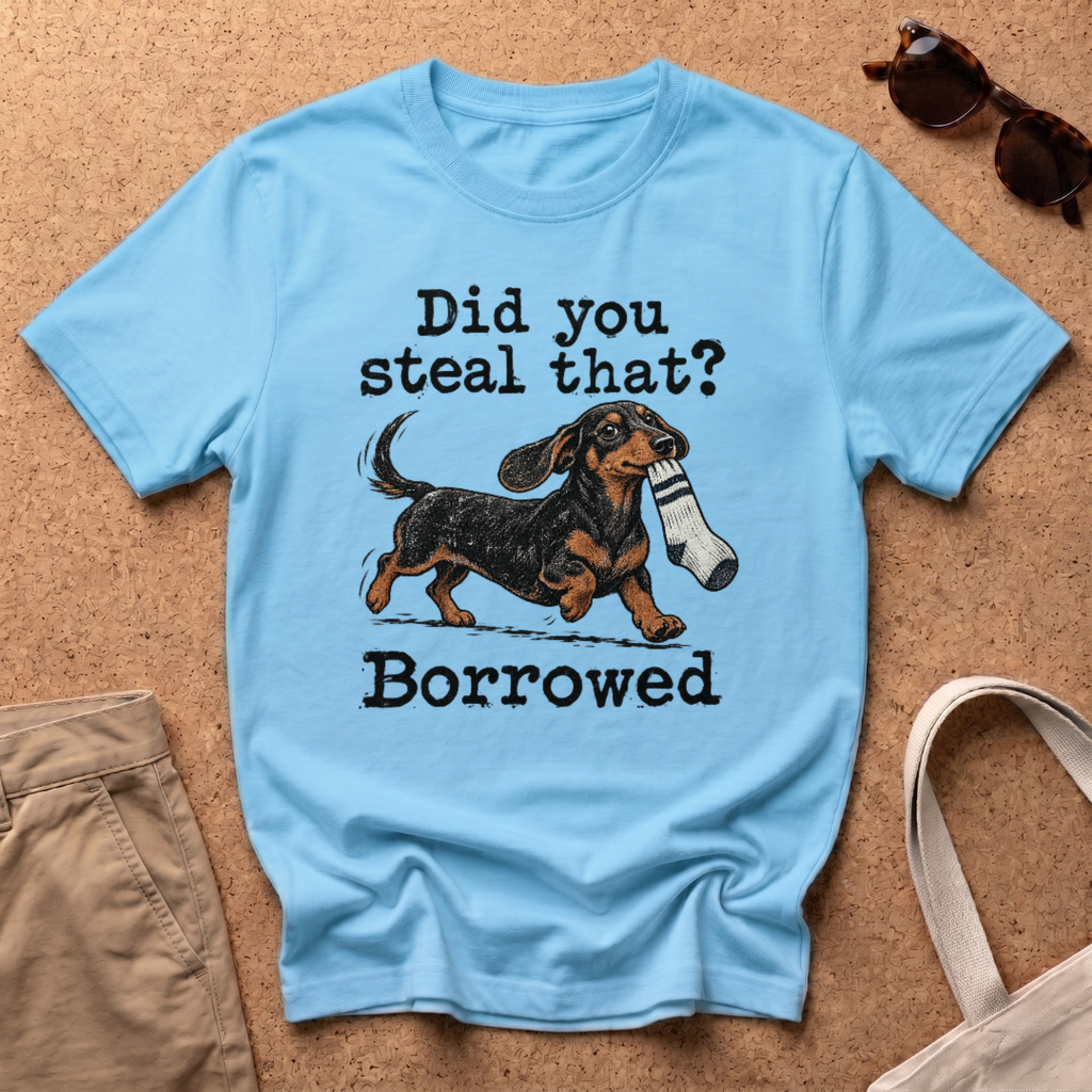 Steal Or Borrowed T-Shirt - Sky