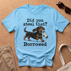 Steal Or Borrowed T-Shirt - Sky