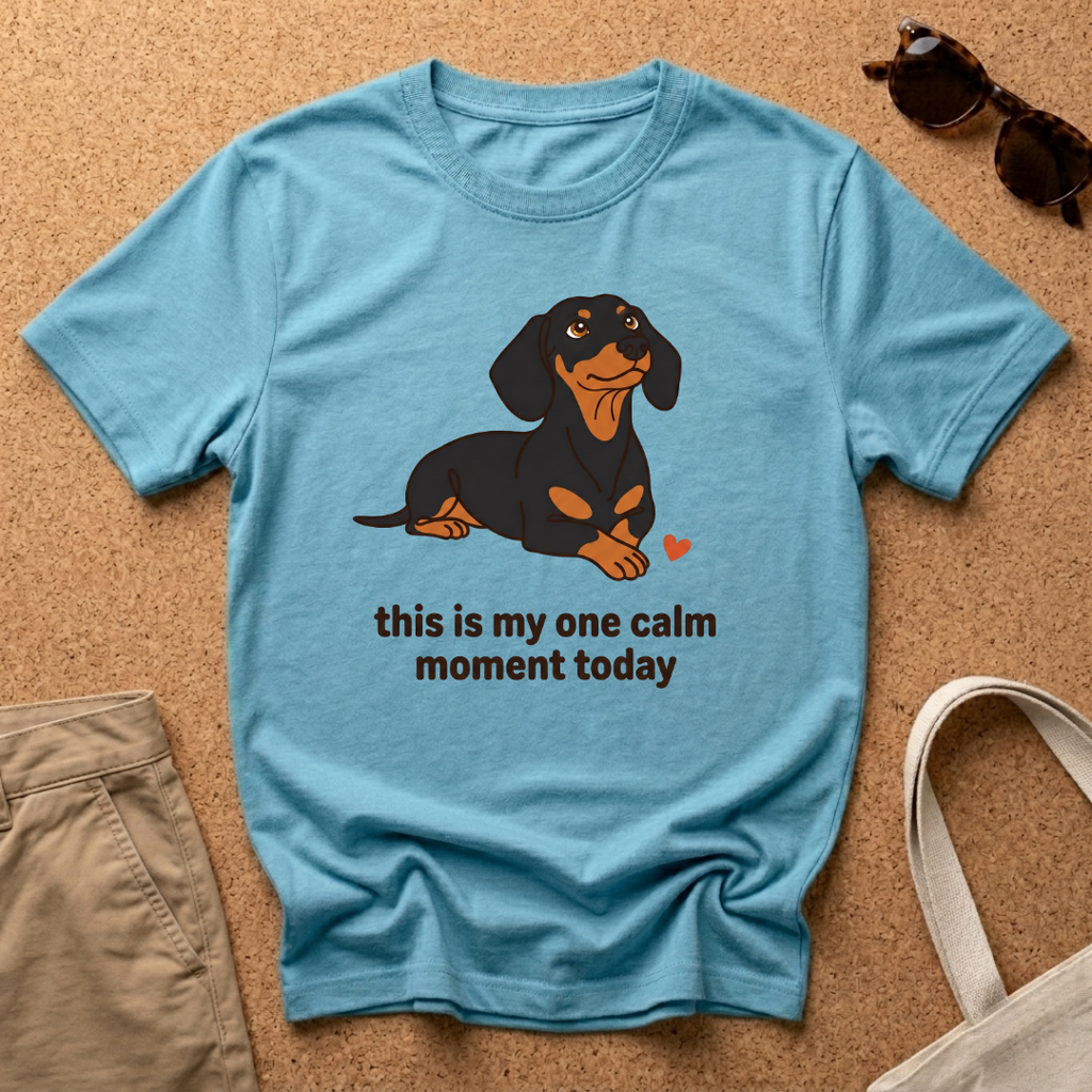 Calm Moment T-Shirt
