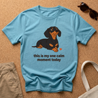 Calm Moment T-Shirt