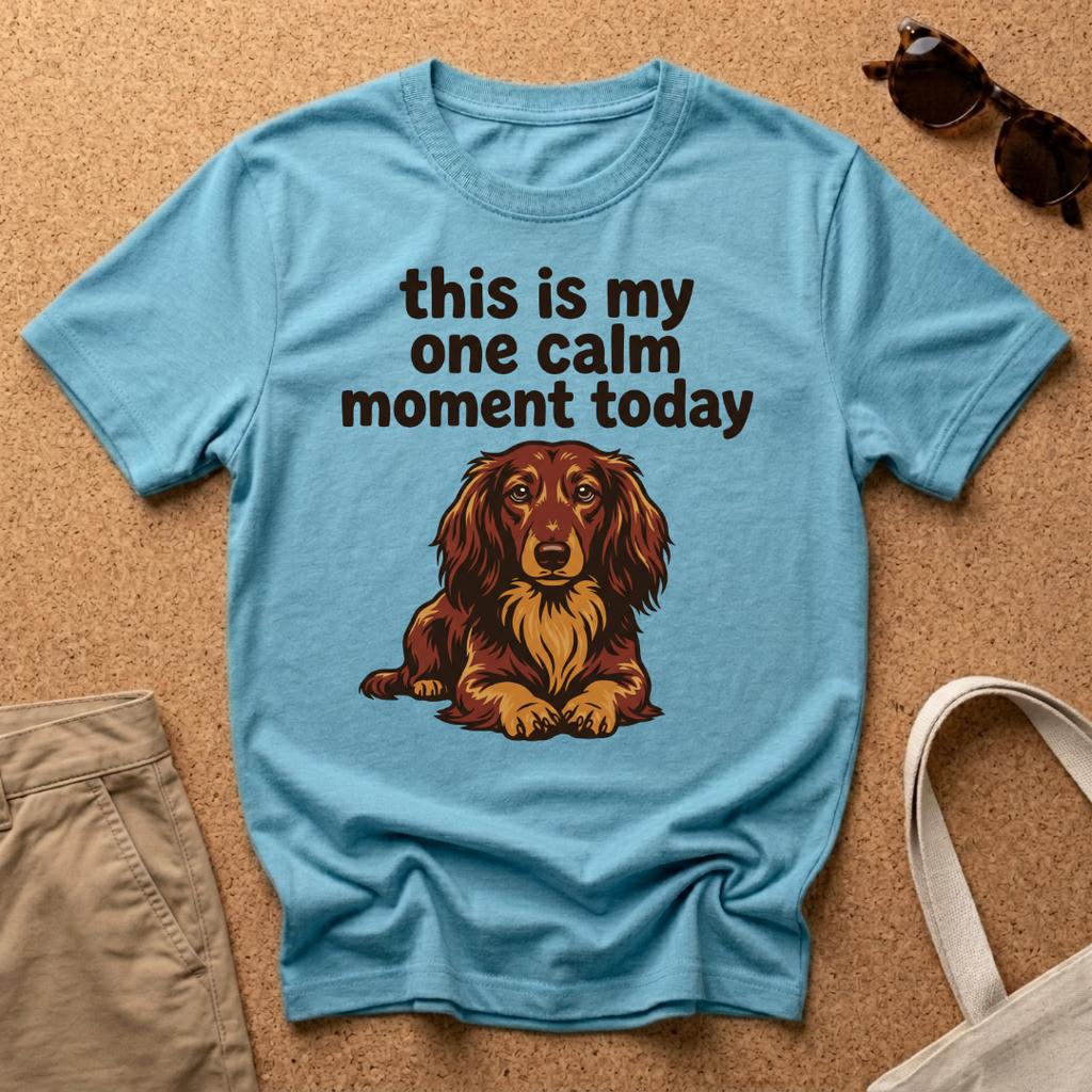 One Calm Moment T-Shirt