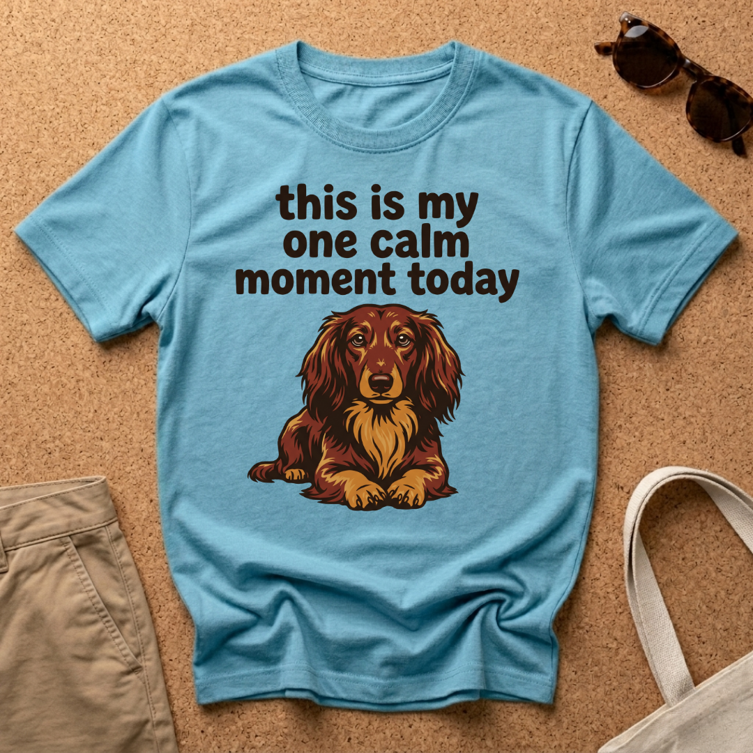 One Calm Moment T-Shirt