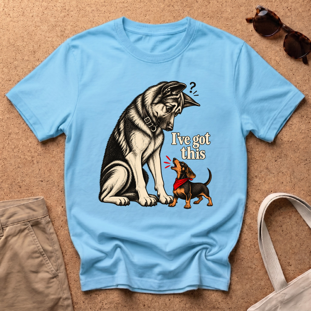 I've Got This T-Shirt