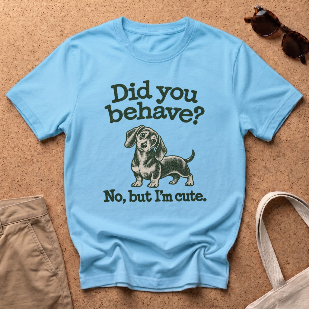 Did You Behave T-Shirt - Sky
