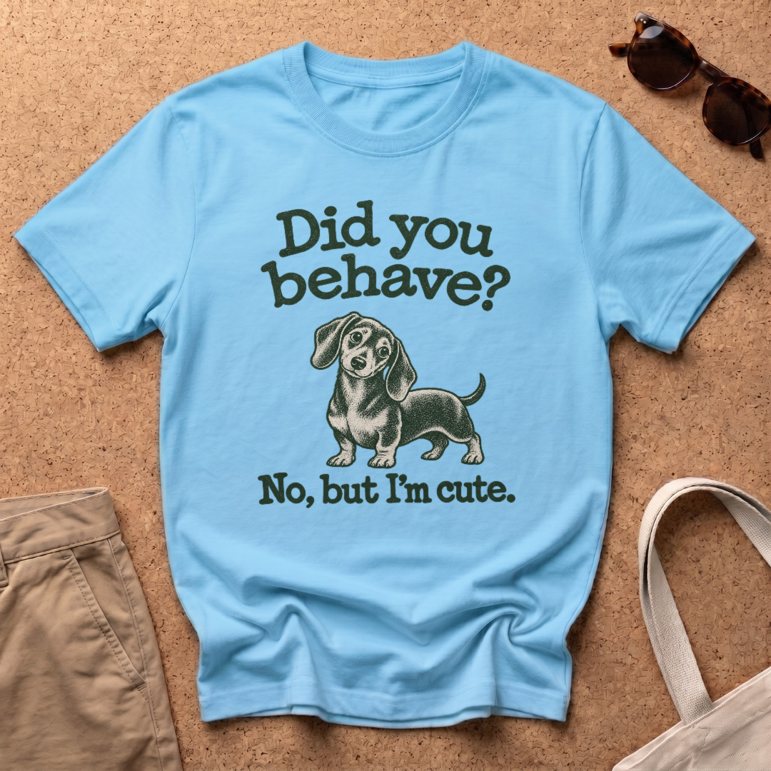 Did You Behave T-Shirt - Sky