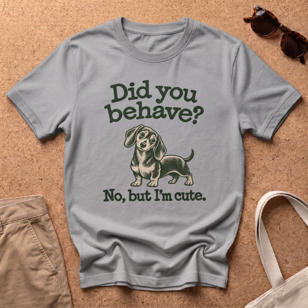 Did You Behave T-Shirt - Sport Grey