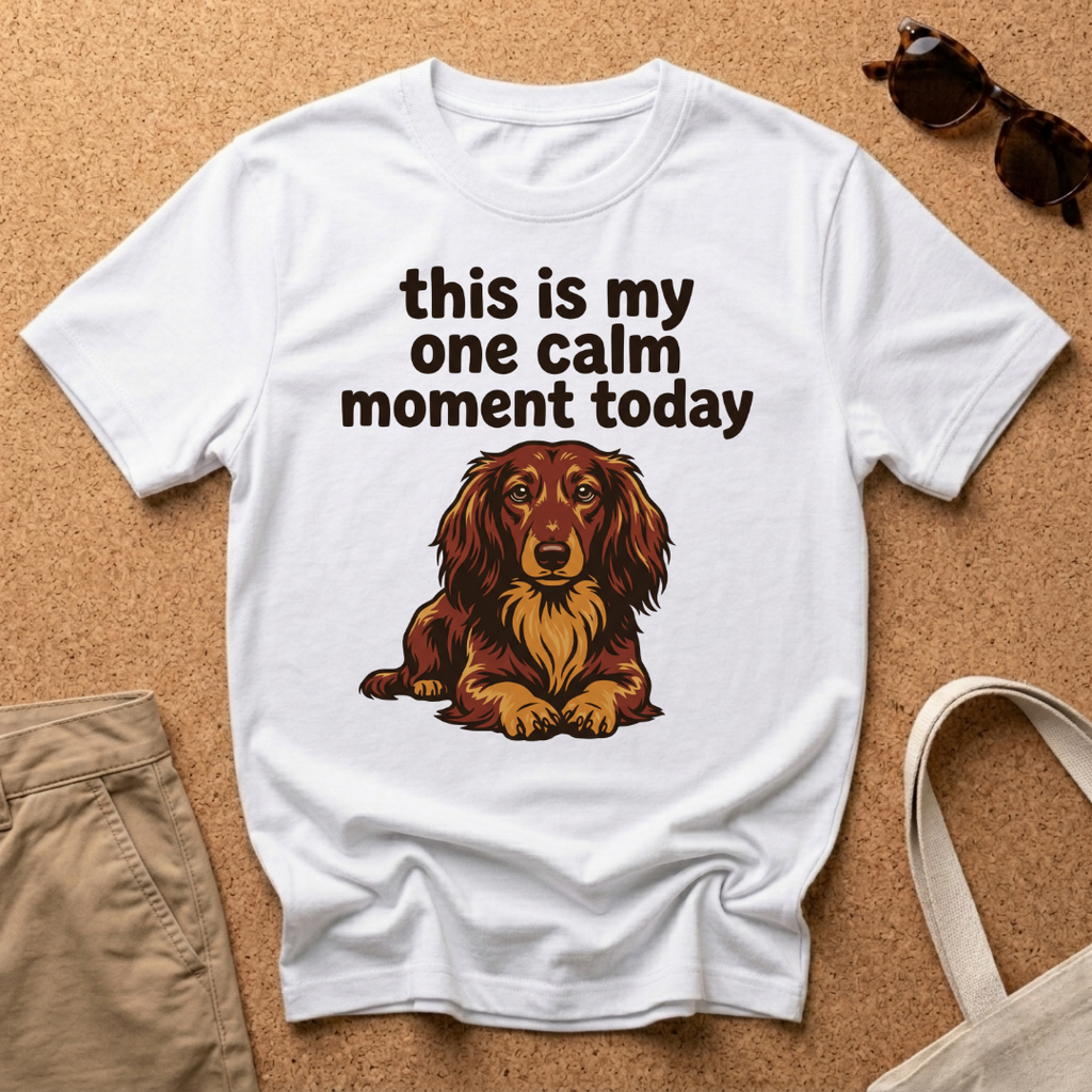 One Calm Moment T-Shirt