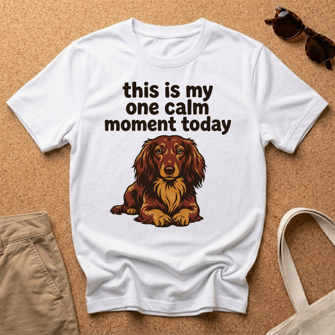 One Calm Moment T-Shirt
